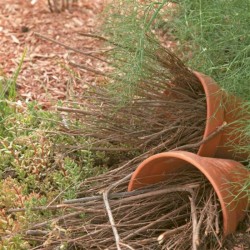 Créez des abris pour la petite faune du jardin Créez des abris pour la petite faune du jardin