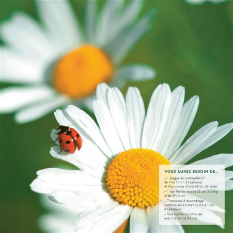 Créez des abris pour la petite faune du jardin