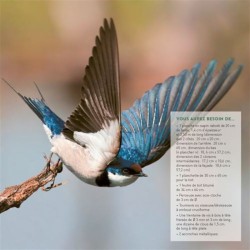 Créez des abris pour la petite faune du jardin Créez des abris pour la petite faune du jardin