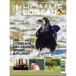 Année complète 2021 - L'Homme et l'Oiseau