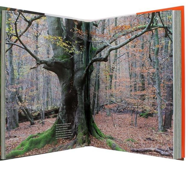La Vie secrète des arbres (French Edition)