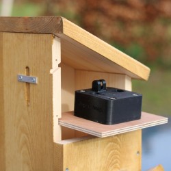 Nichoir Extraordinaire RTBF/LRBPO - Cheap T'Chip - Bois