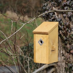 Nichoir Extraordinaire RTBF/LRBPO - Cheap T'Chip - Bois