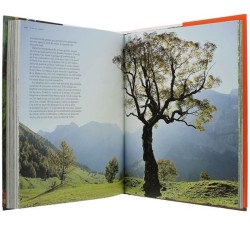La vie secrète des arbres - Edition intégrale illustrée de 150 photos La vie secrète des arbres - Edition intégrale illustrée de 150 photos