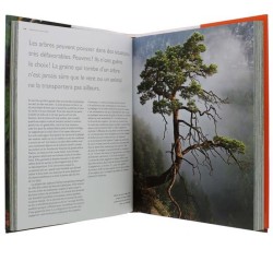 La vie secrète des arbres - Éditions MultiMondes