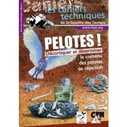 Pelotes ! - Décortiquer et déterminer le contenu des pelotes de réjection