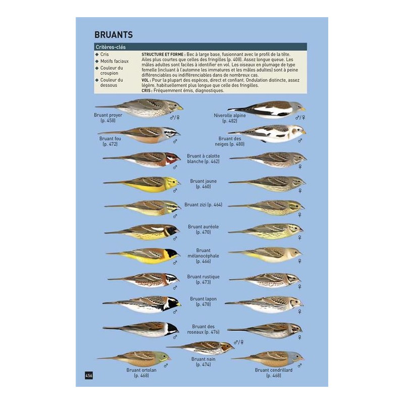 Cahier d'identification des Passereaux d'Europe en vol