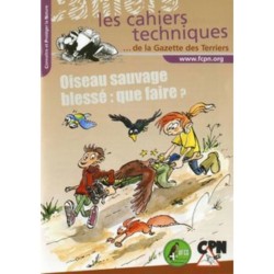 Oiseau sauvage blessé : que faire ?