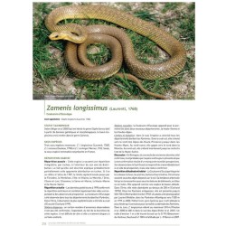 Atlas des Amphibiens et Reptiles de France Atlas des Amphibiens et Reptiles de France