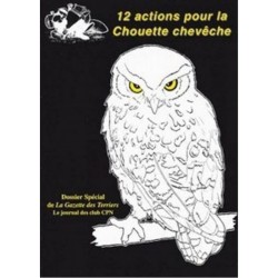 Douze actions pour la Chouette chevêche