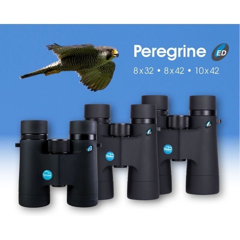 Viking Peregrine ED 8x32 - Jumelles