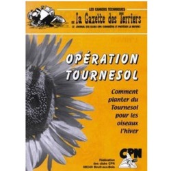 Opération Tournesol - Comment planter du Tournesol pour les oiseaux l'hiver Opération Tournesol - Comment planter du Tournesol pour les oiseaux l'hiver