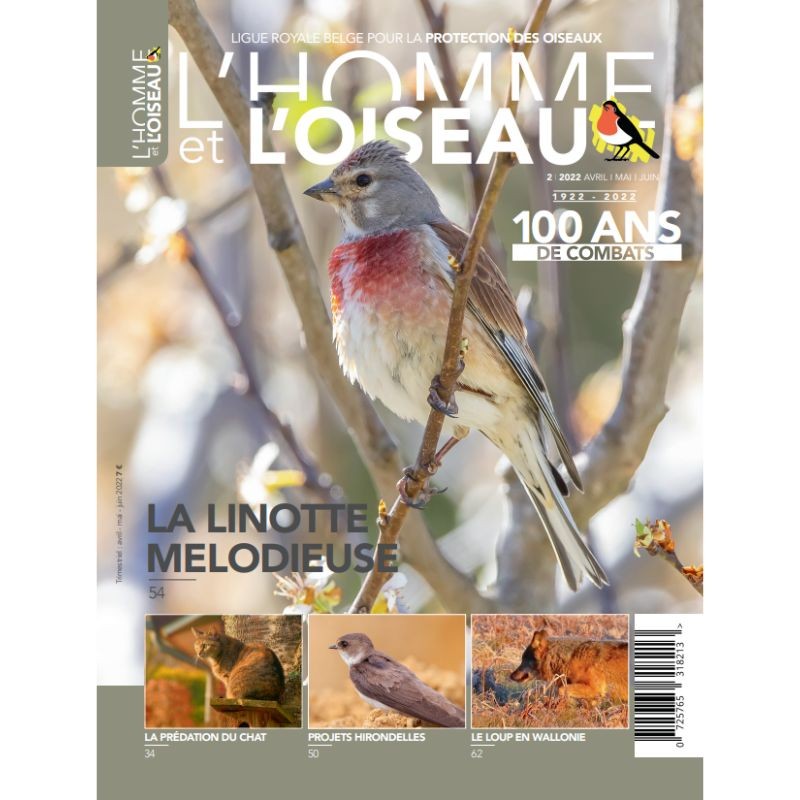 Revue L'Homme et l'Oiseau - La linotte mélodieuse - 2/2022