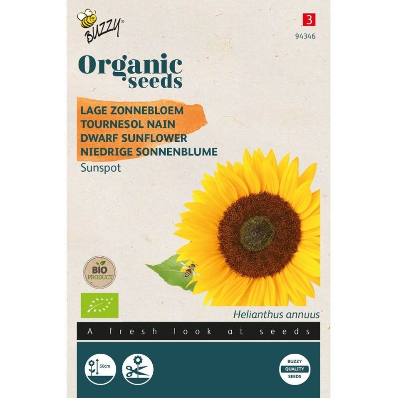 Tournesol nain BIO - Buzzy organic