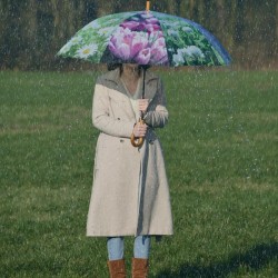 Parapluie fleurs