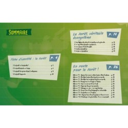 Pour se promener en forêt - Mon petit guide Pour se promener en forêt - Mon petit guide