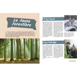 Pour se promener en forêt - Mon petit guide Pour se promener en forêt - Mon petit guide