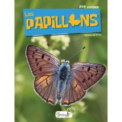 Les papillons - P'tit curieux