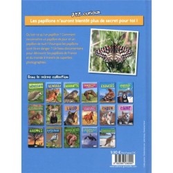 Les papillons - P'tit curieux Les papillons - P'tit curieux