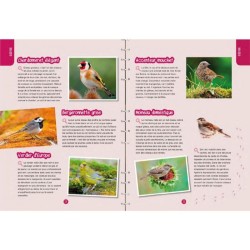 Observer les oiseaux - Identifier, préserver