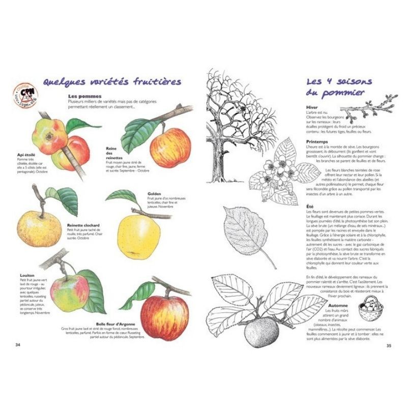 La nature au verger - Découvrir et accueillir la biodiversité au verger