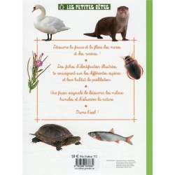 Petites bêtes & plantes des mares & des rivières - Observer, identifier, préserver