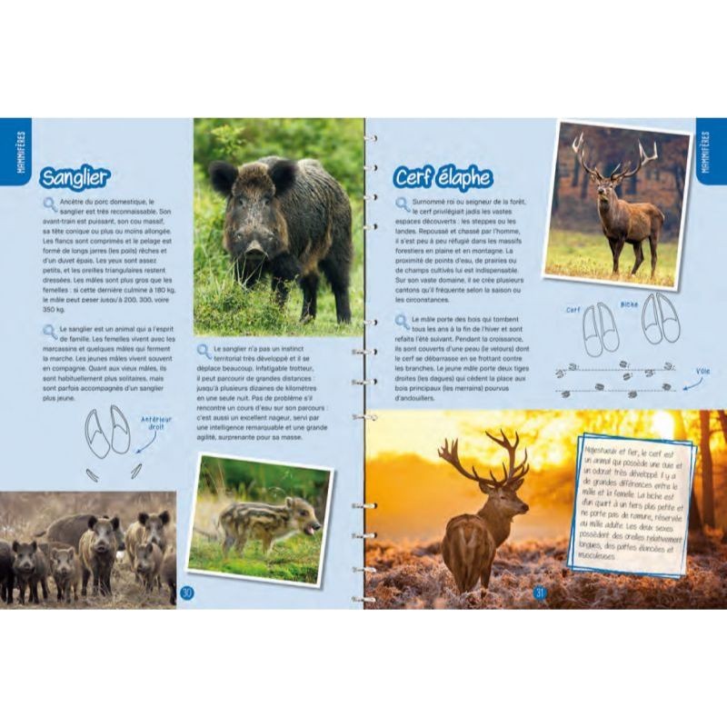 Traces & indices - Observer, identifier, préserver