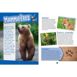 Traces & indices - Observer, identifier, préserver