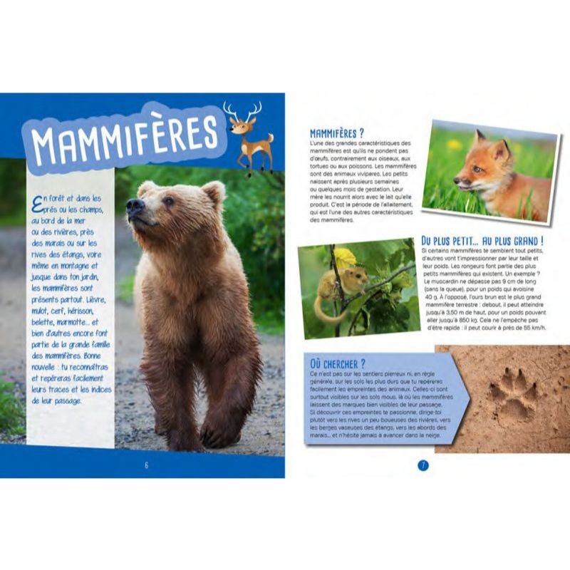 Traces & indices - Observer, identifier, préserver