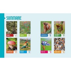 Le grand livre de la nature - Plantes, champignons, oiseaux, mammifères, reptiles, coquillages... Le grand livre de la nature - Plantes, champignons, oiseaux, mammifères, reptiles, coquillages...