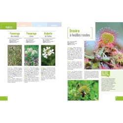 Le grand livre de la nature - Plantes, champignons, oiseaux, mammifères, reptiles, coquillages... Le grand livre de la nature - Plantes, champignons, oiseaux, mammifères, reptiles, coquillages...