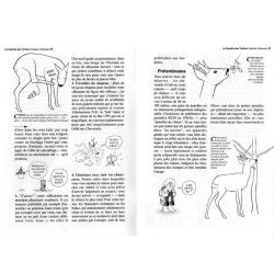 A l'affût des chevreuils