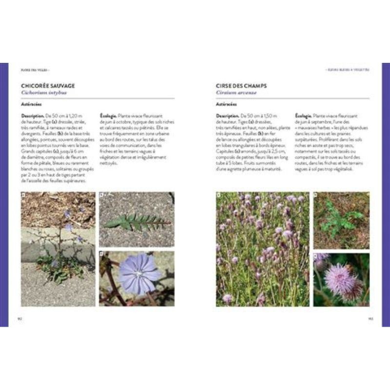 Flore des villes - de France, de Suisse et du Benelux