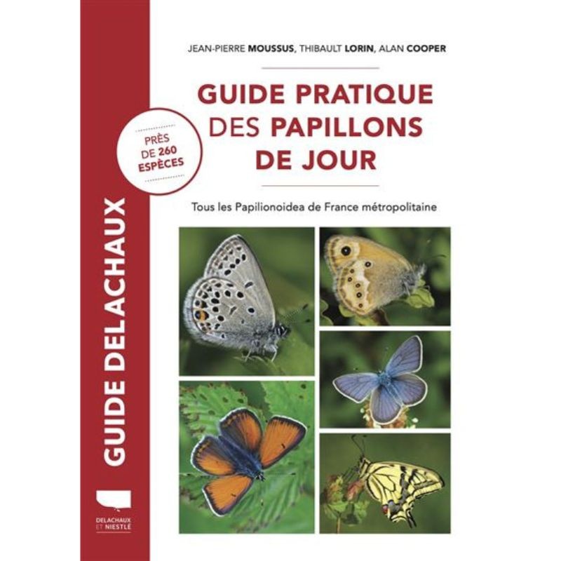 Guide pratique des papillons de jour - Tous les Papilionoidea de France métropolitaine - près de 260 espèces