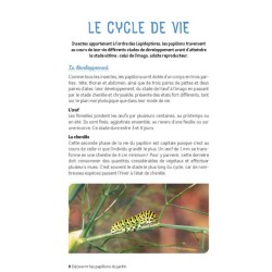 Découvrir les papillons du jardin - les identifier, les attirer, les nourrir