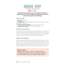 Découvrir les papillons du jardin - les identifier, les attirer, les nourrir