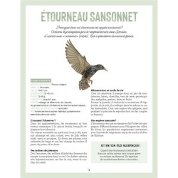 La nature s'invite en ville - Animaux et plantes sauvages du coin de la rue La nature s'invite en ville - Animaux et plantes sauvages du coin de la rue
