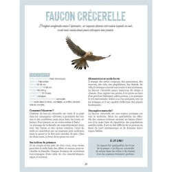 La nature s'invite en ville - Animaux et plantes sauvages du coin de la rue La nature s'invite en ville - Animaux et plantes sauvages du coin de la rue