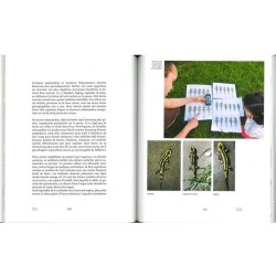 Safari au jardin - La biodiversité à portée de main ! Safari au jardin - La biodiversité à portée de main !