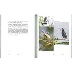 Safari au jardin - La biodiversité à portée de main ! Safari au jardin - La biodiversité à portée de main !