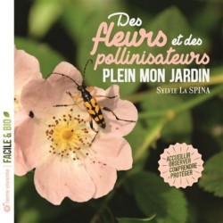 Des fleurs et des pollinisateurs plein mon jardin - Accueillir, observer, comprendre, protéger
