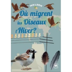 Où migrent les Oiseaux l'Hiver ?