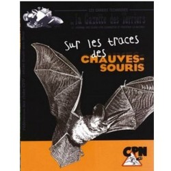 Sur les traces des chauves-souris