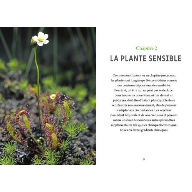 L'intelligence des plantes - Les découvertes qui révolutionnent notre compréhension du monde végétal