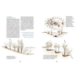 Créer une mare - un point d'eau, une baignade naturelle