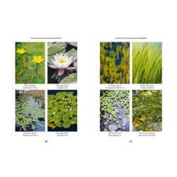 Créer une mare - un point d'eau, une baignade naturelle