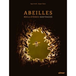 Abeilles mellifères sauvages Abeilles mellifères sauvages