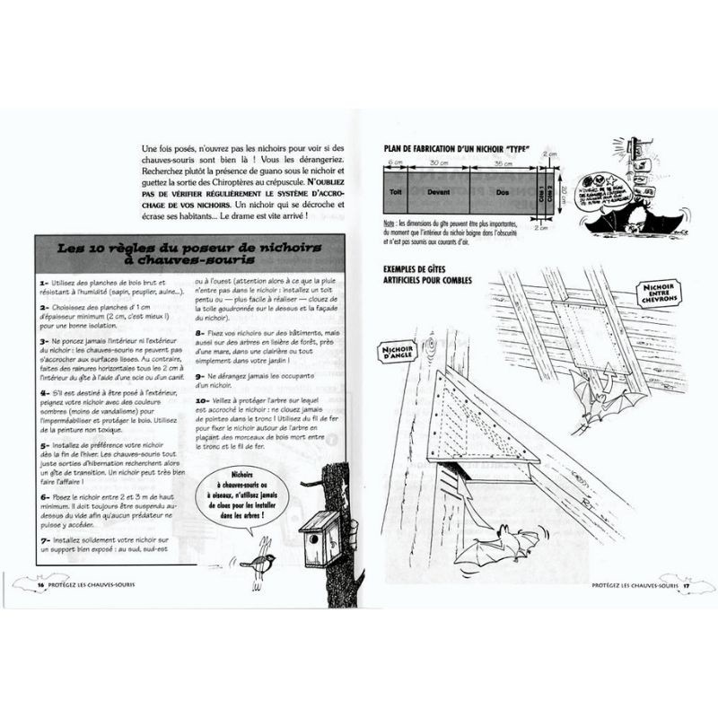 Protéger les chauves-souris