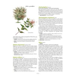 Le Grand Larousse des arbres