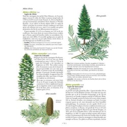 Le Grand Larousse des arbres